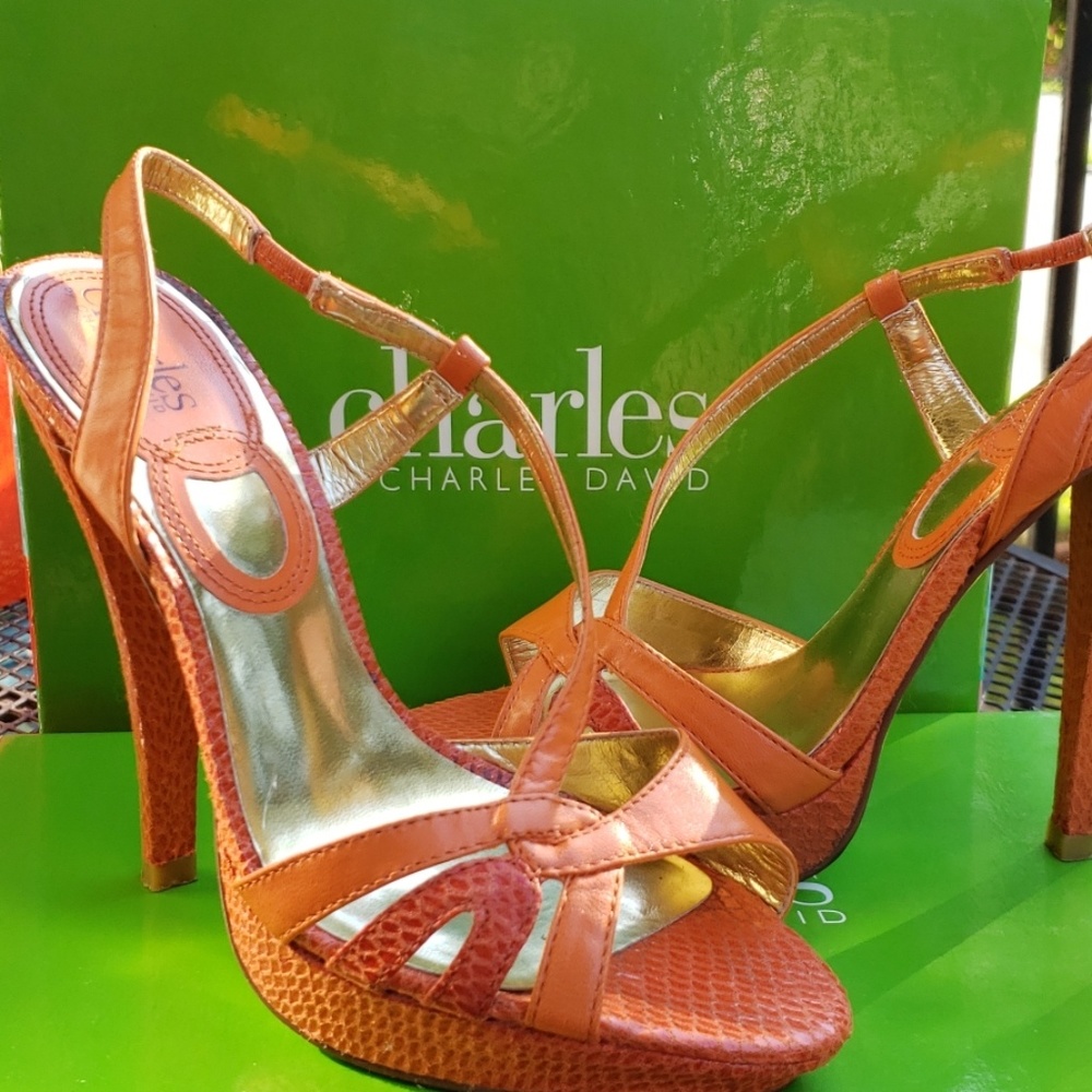 Charles David platform sandal